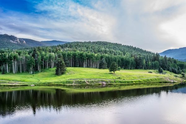 Bursa Malatya Ambar