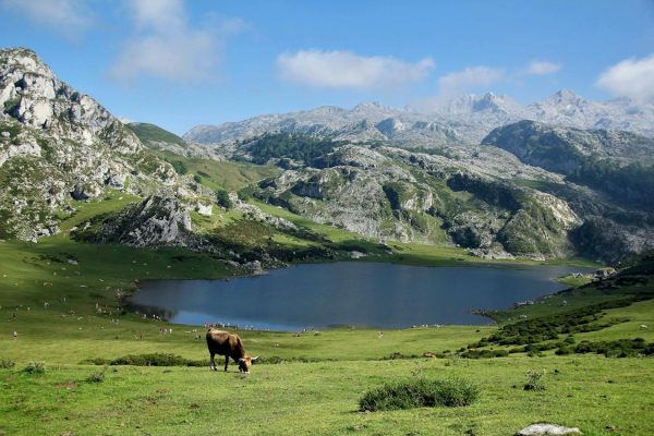 Bursa Konya Ambar